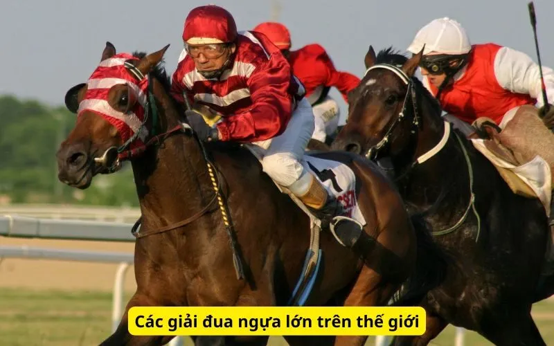 Cược Đua Ngựa - bepbosch.com.vn