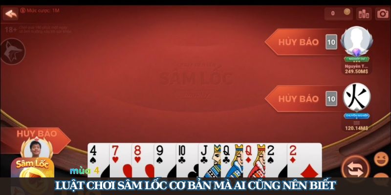 Cách Chơi Sâm Lốc Cực Chuẩn Như Một Cao Thủ Đánh Bài - Bộ sưu tập ảnh cute, đáng yêu làm avatar, hình nền điện thoại